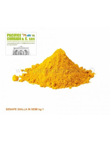 Senape gialla in semi 1 kg aromi e spezie per preparati di carne