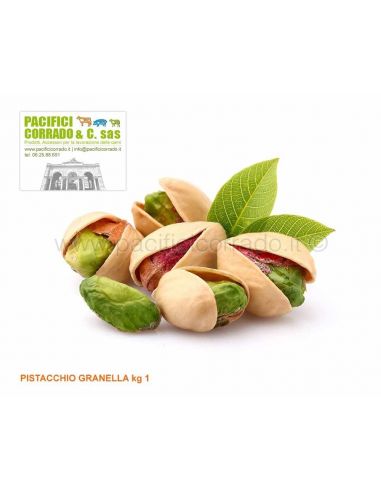 Pistacchio granella kg 1 spezie a aromi per preparati di carne Pistacchio granella kg 1 spezie a aromi per preparati di carne