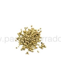 spezie in polvere Pepe bianco muntok 1 kg semolato