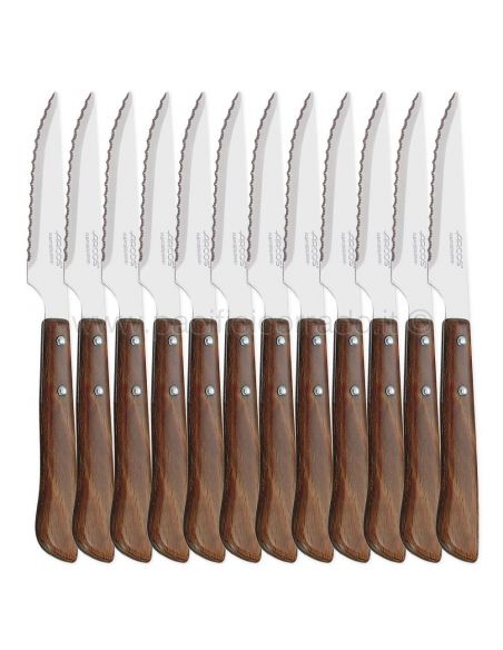 Arcos coltello da bistecca lama 10,5 cm acciaio inossidabile manico nylon