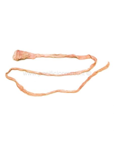 Gentile Budello naturale di maiale calib. 50mm lung. 120 cm