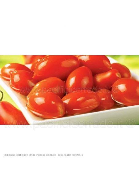 Greci – Pomodori datterini 780 g prontofresco