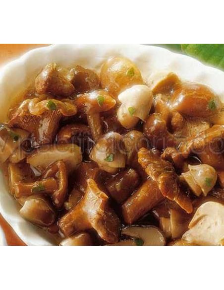 Greci – Funghi e funghi Greci – Funghi e funghi