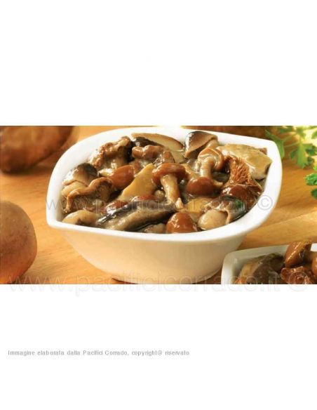 Greci – Funghi e funghi Greci – Funghi e funghi