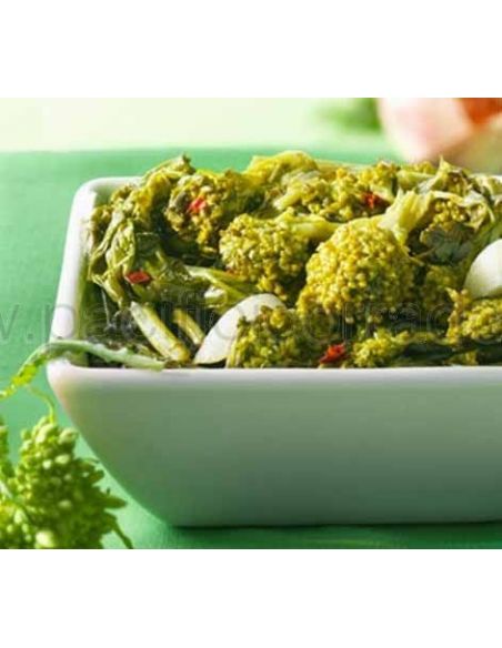 Greci – Friarielli x 6 Greci – Friarielli x 6