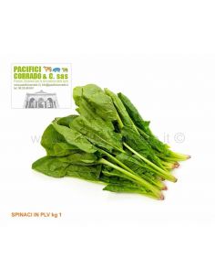 Spinaci in polvere Pagani 1 kg spezie e aromi per preparati di carne 2