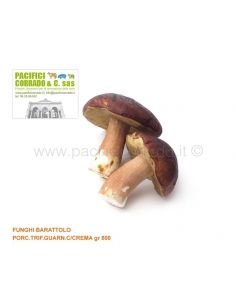 Funghi porcini trifolati con crema gr 800