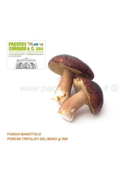 Funghi Porcini trifolati del maso gr 800