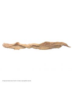 budello crespone per insaccare salumi
