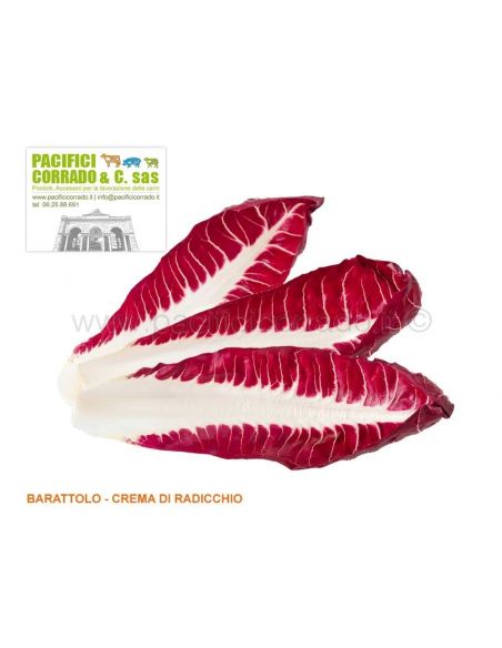 Crema di radicchio gr 800