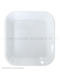 piatto vassoio P24 mm 240x220 MET
