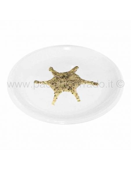 crema basilico e rosmarino nel piatto crema basilico e rosmarino nel piatto