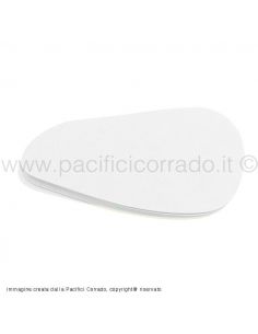 Dischi per Hamburger in Msp forma cotoletta conf. da 500g 2