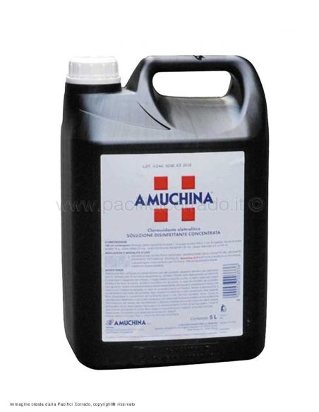 amuchina 100% da 5 lt