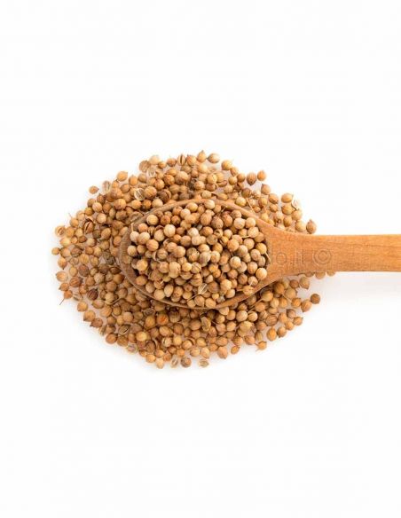 Coriandolo semi interi piccoli conf.da 500 g Coriandolo semi interi piccoli conf.da 500 g