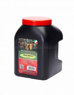 Alimenta - Crema Regina conf.da kg 2,1 crema 2