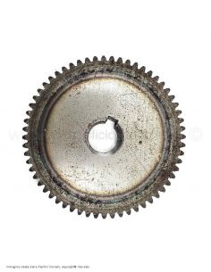 ruota dentata per insaccatrice  tre spade 5 kg 2