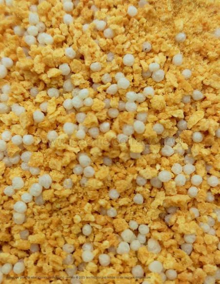 particolare panatura senza glutine particolare panatura senza glutine