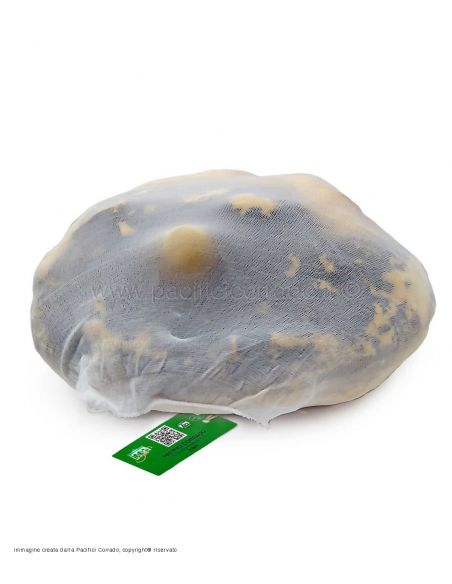 particolare su come si usa la calza Contex