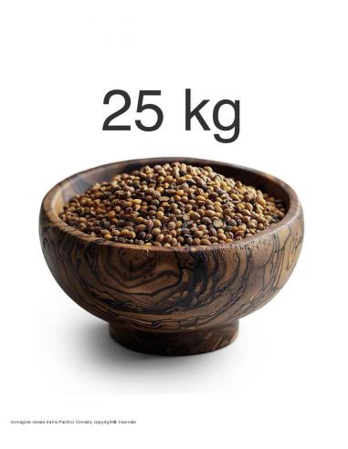 Pacifici Corrado - Coriandoli semi contusi conf.da 25 kg