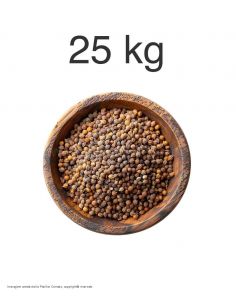Pacifici Corrado - Coriandoli semi piccoli conf.da 25 kg