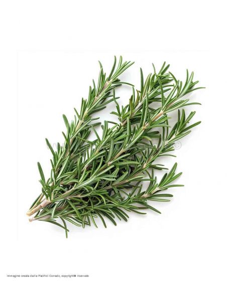 Pacifici Corrado - Rosmarino foglie ventilate conf.da 0,5 kg