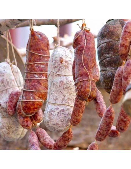 Starter microbico per salmi stagionati esempio di salumi stagionati Starter microbico per salmi stagionati esempio di salumi stagionati