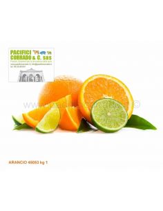Aroma Arancio in polvere 45053 kg 1 aromi e spezie per preparati
