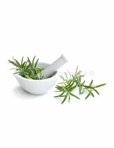 Rosmarino in polvere 1 kg 2