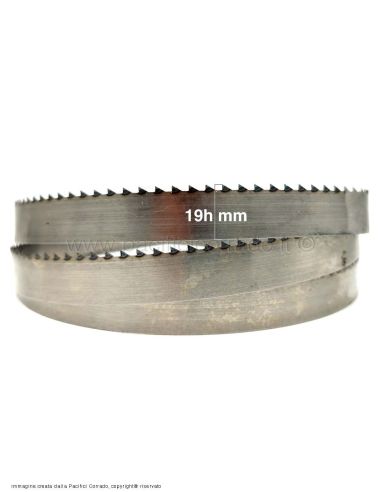 particolare altezza lama da 19 mm