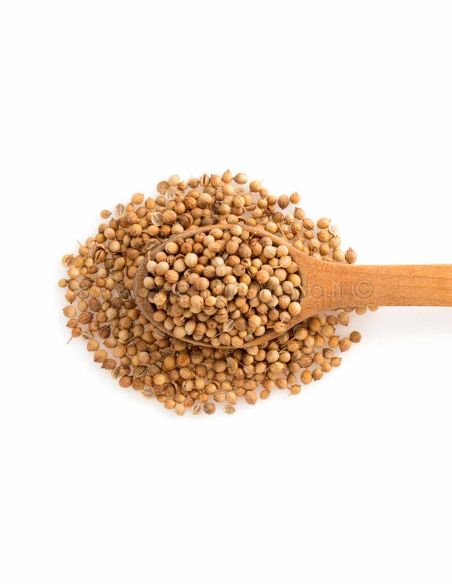 Coriandolo semi grossi in sacco da 25 kg