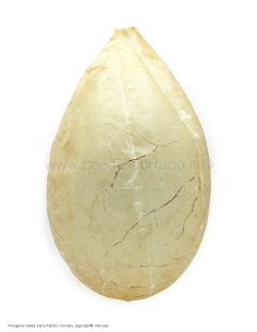 vescica naturale essiccata di suino per insaccare la mortadella 2