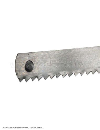 lama dick particolare