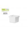 Giganplast - Bacinella quadra cm 50 x 50 nu rettangolare