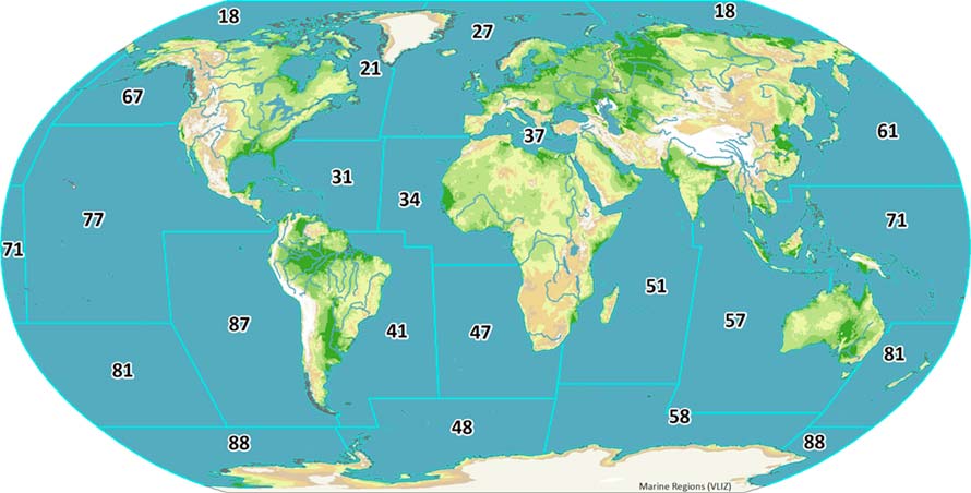 zone di pesca fao