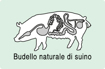 budello naturale fresco di suino