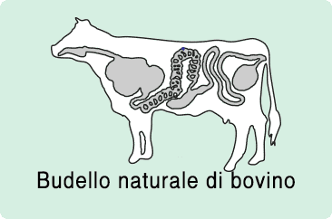 budello naturale fresco di bovino