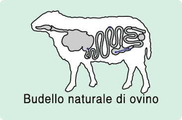 budello naturale fresco di ovino