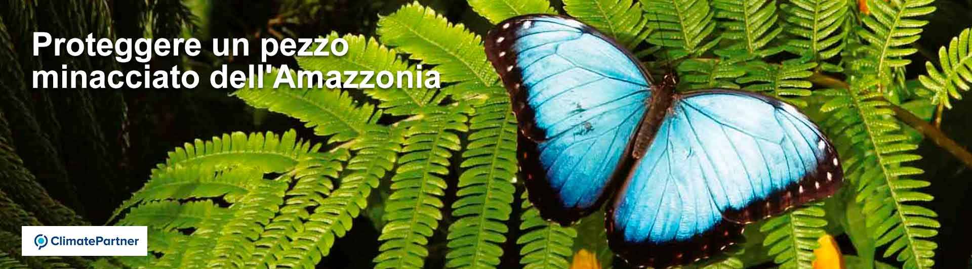certificato ClimatePartner compensazione emissioni gas serra